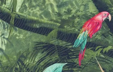 ESOTICA TROPICALE | Carta da parati - Var 30  [particolare]